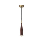 Wood Cone Led Pendant Light Li002660