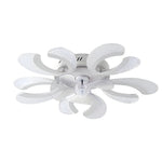 Flowers Mute Timing Ceiling Fan Li002708