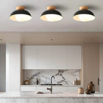 Semi Flush Ceiling Light Modern