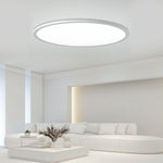 Lighting Ceiling Lights Flush Mount Lighting_Tli00213