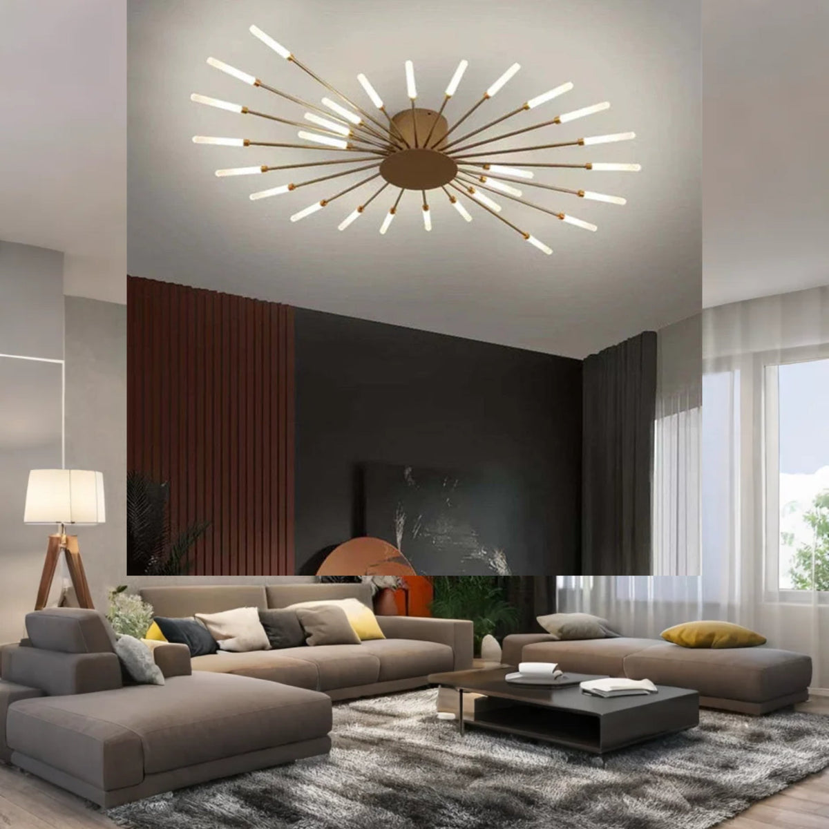 Fireworks Ceiling Lights