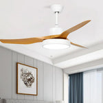 Lighting Ceiling Lights Ceiling Fans_4Huqc