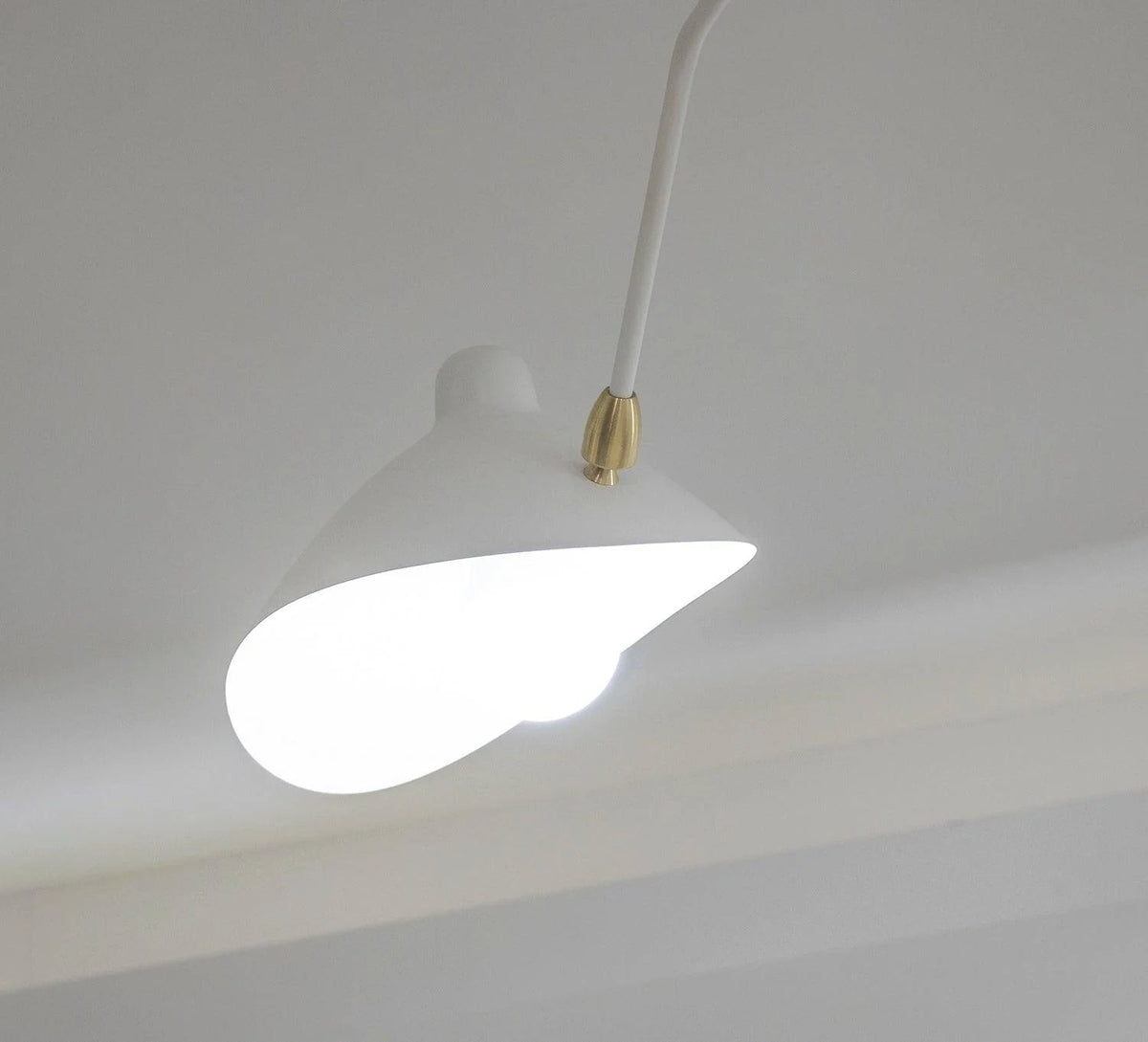 Celestial Curve Ceiling Light