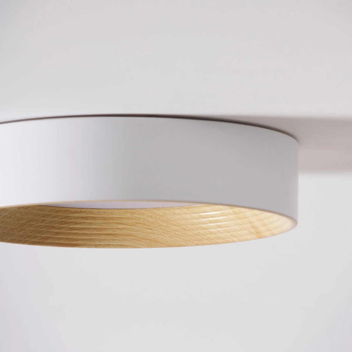 Calen Minimalist Ceiling Lamp