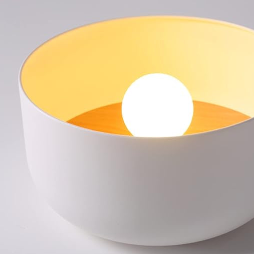 Modern Bowl Metal Flush Ceiling Light