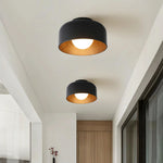 Terraglow Ceiling Light