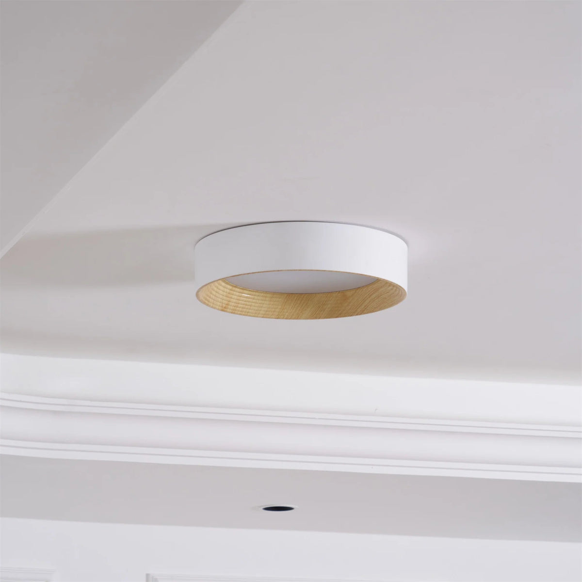 Calen Minimalist Ceiling Lamp