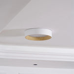 Calen Minimalist Ceiling Lamp