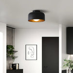 Terraglow Ceiling Light