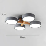 Lumi Cluster Acrylic Ceiling Light