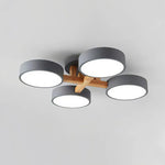 Lumi Cluster Acrylic Ceiling Light