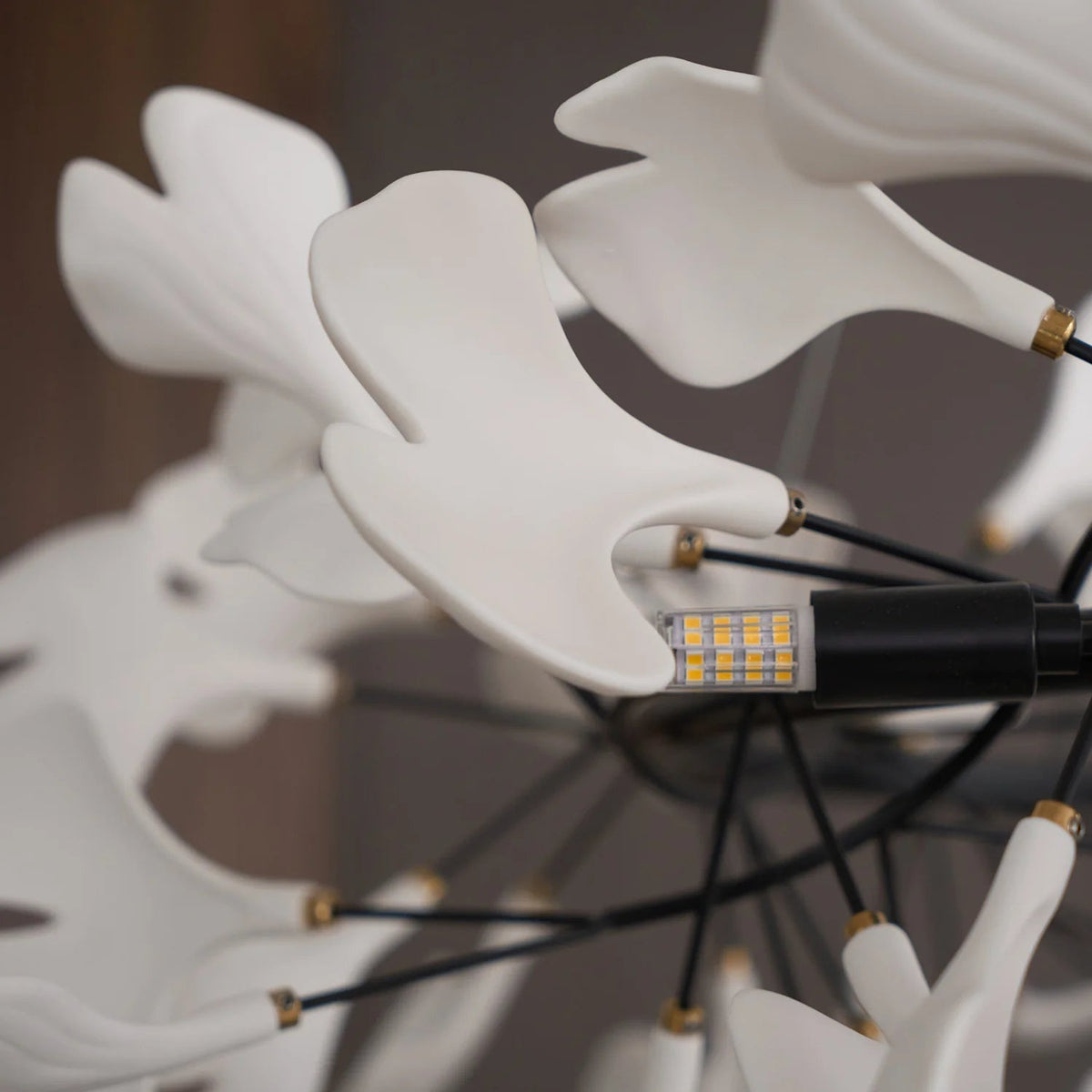 Gingko Halo Chandelier