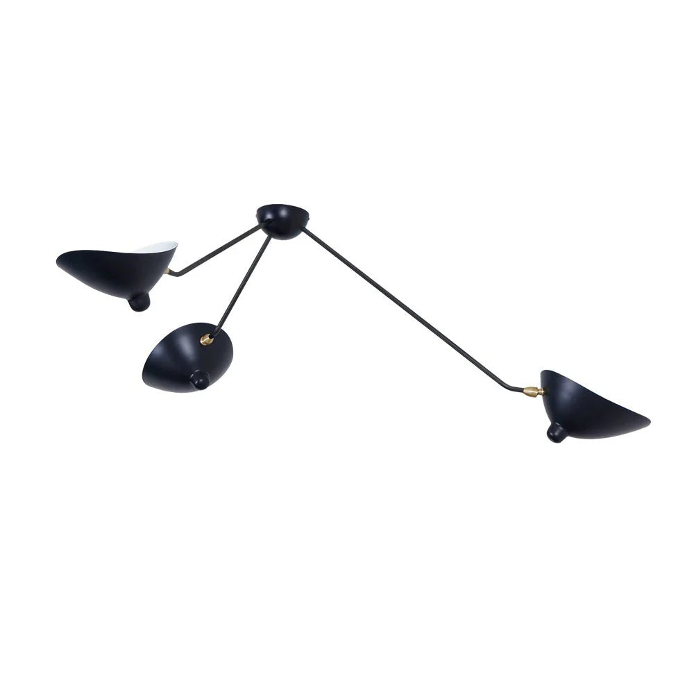 Celestial Curve Ceiling Light