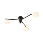 Jasper Modern Semi Flush Ceiling Light in Black or Copper, 3-6 Lights