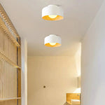 Terraglow Ceiling Light