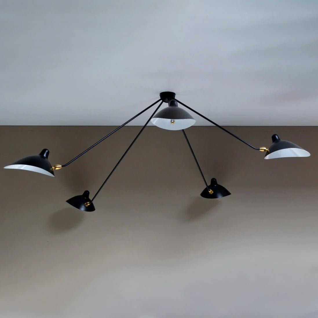 Celestial Curve Ceiling Light