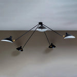 Celestial Curve Ceiling Light