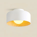 Terraglow Ceiling Light