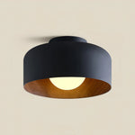 Terraglow Ceiling Light
