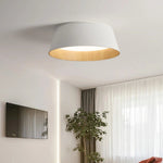 Ripple Flush Ceiling Light