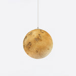 3D Planet Ball Pendant Lamp