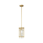 Iron Frame Modern Ceiling Light Li002701
