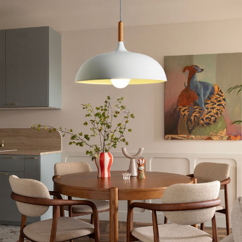 Modern Simple Dome Pendant Light