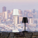 15 Inch Cordless Modern Cool Hue Metal Table Lamp Black White