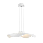 Flowers Modern Ceiling Light Ha091371