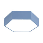 Lighting Ceiling Lights Flush Mount Lighting_4Bdvd