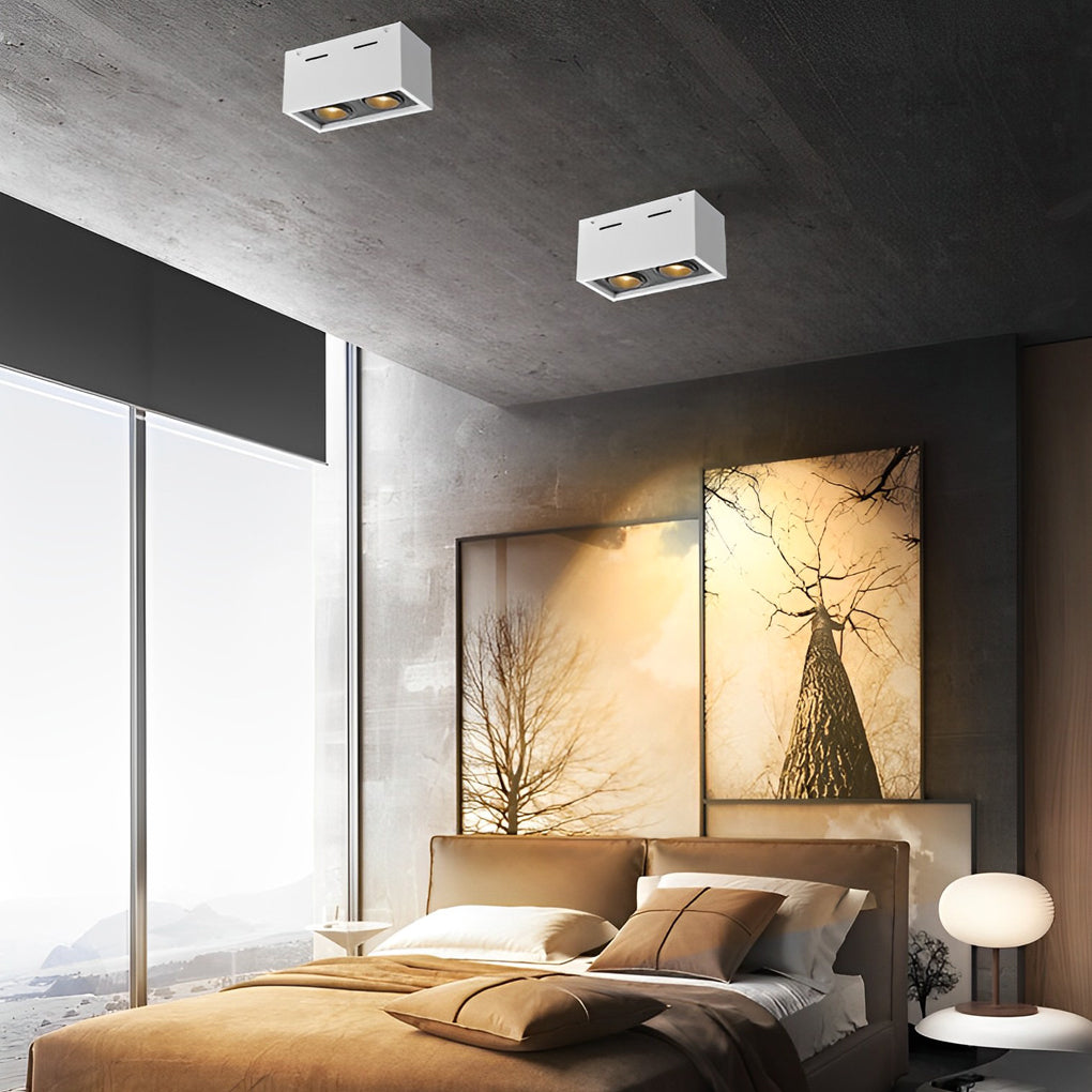 Modern Rectangular LED Surface Mounted Spotlights, Adjustable 2-Light Ceiling Fixture