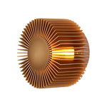 Sun Flowers Led Wall Light Ha097960