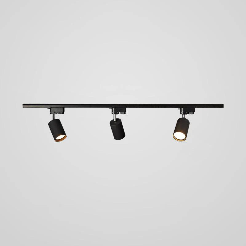 Rotatable Spotlights Ceiling Light