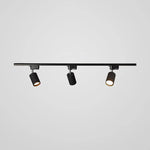 Rotatable Spotlights Ceiling Light