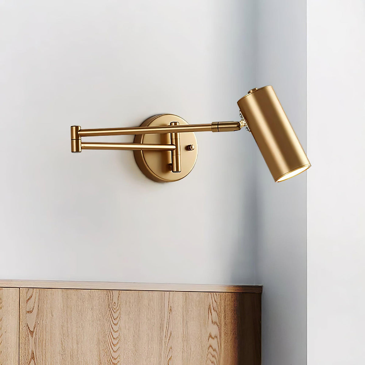 Flexible Arm Wall Light