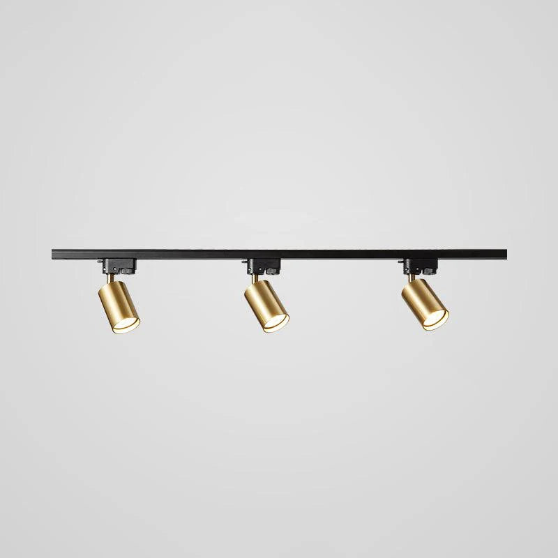 Rotatable Spotlights Ceiling Light