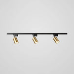 Rotatable Spotlights Ceiling Light