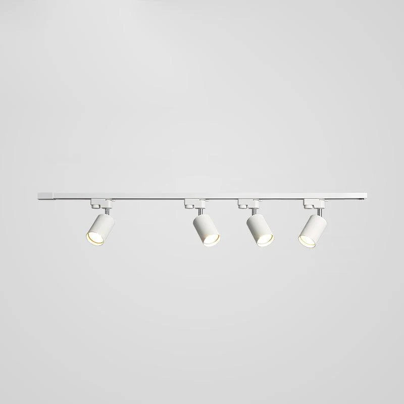 Rotatable Spotlights Ceiling Light