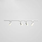 Rotatable Spotlights Ceiling Light