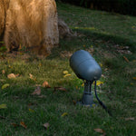 Minimalist Outdoor Spotlights with Warm LED Glow