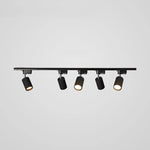 Rotatable Spotlights Ceiling Light
