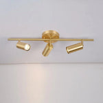 Adjustable Wall Spotlight