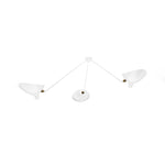 Celestial Curve Ceiling Light
