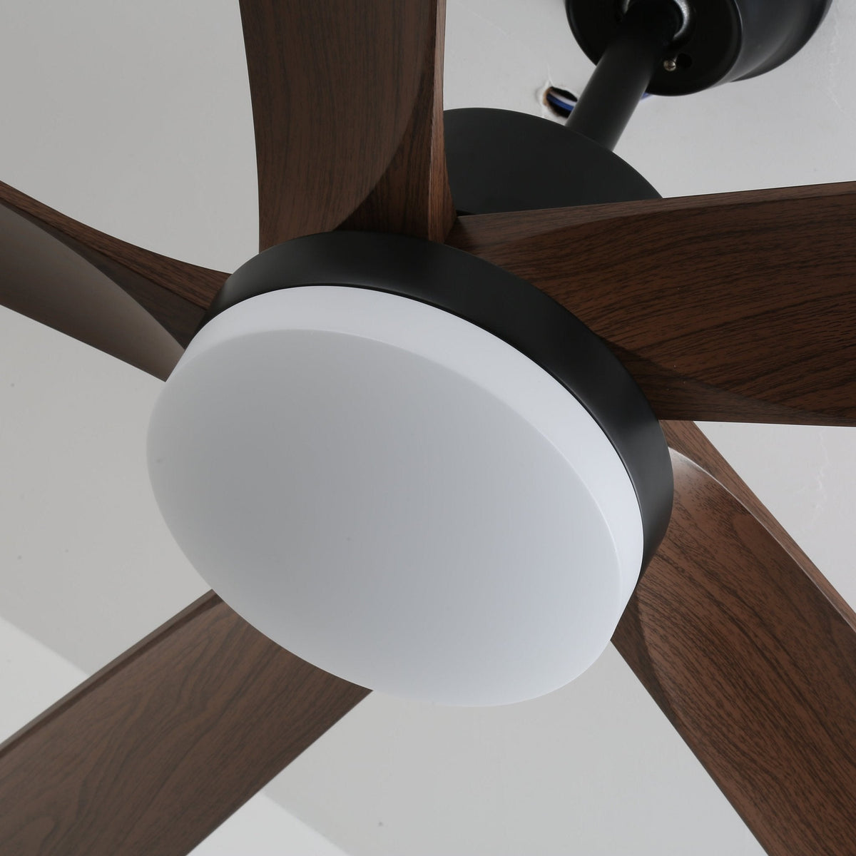 Auralin Breeze Ceiling Fan with LED Light in Walnut Wood
