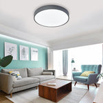 Lighting Ceiling Lights Flush Mount Lighting_3Xte8