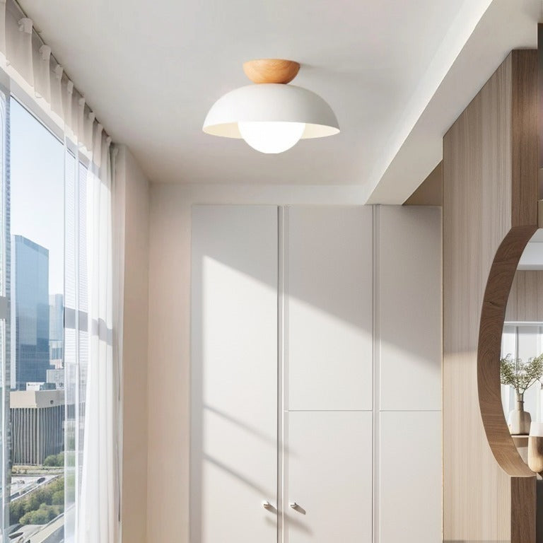 Semi Flush Ceiling Light Modern
