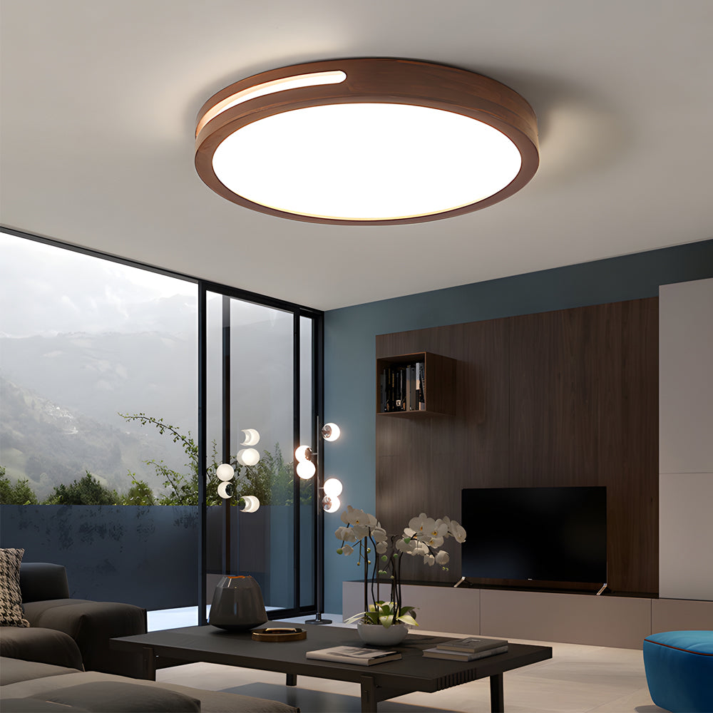 Round Retro Ceiling Lights Fixture Li002663