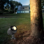 Round Tree Spot Lights Ha077575