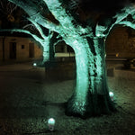 Eggshell Rgb Solar Outdoor Spotlight Ha085453