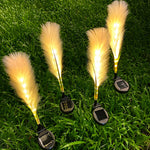 Hairy Reed LED Solar Lawn Lamps, Set of 2, Modern Outdoor Garden Lights